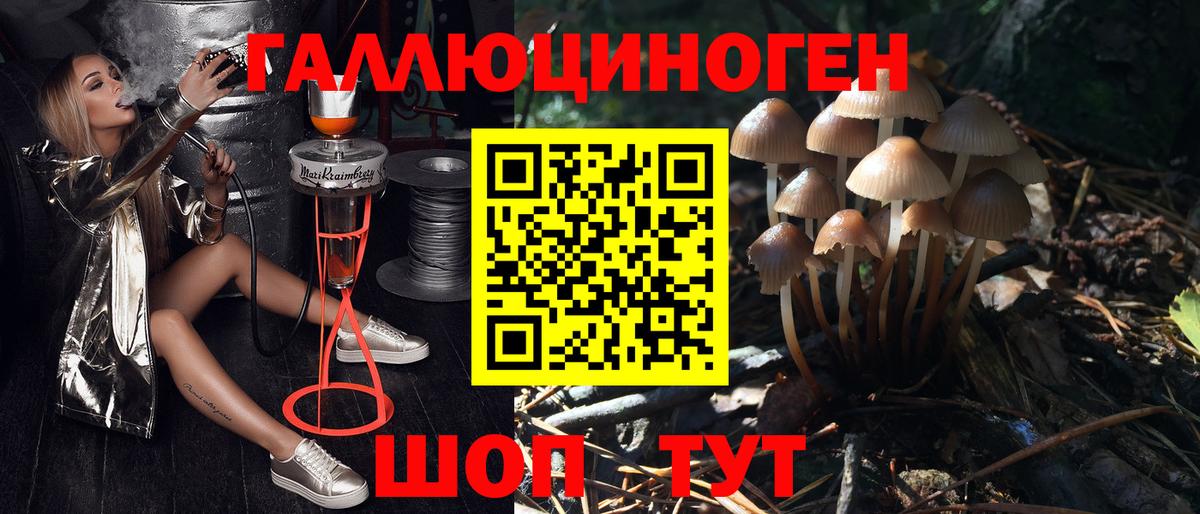 Галлюциногенные грибы Cubensis Кыштым